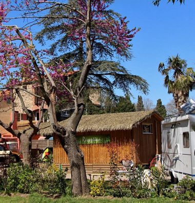 reception Camping Les Amandiers