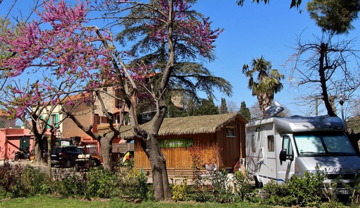 reception Camping Les Amandiers