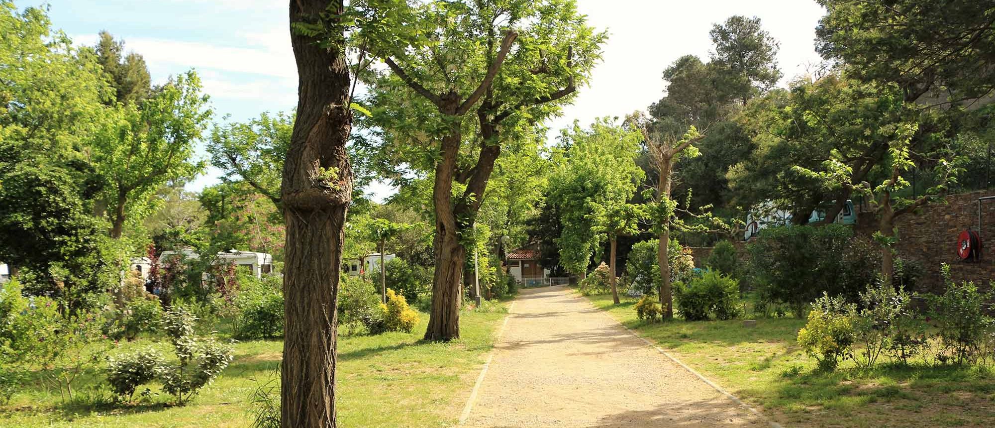 Emplacement Camping Les Amandiers