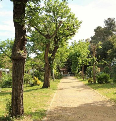 Emplacement Camping Les Amandiers