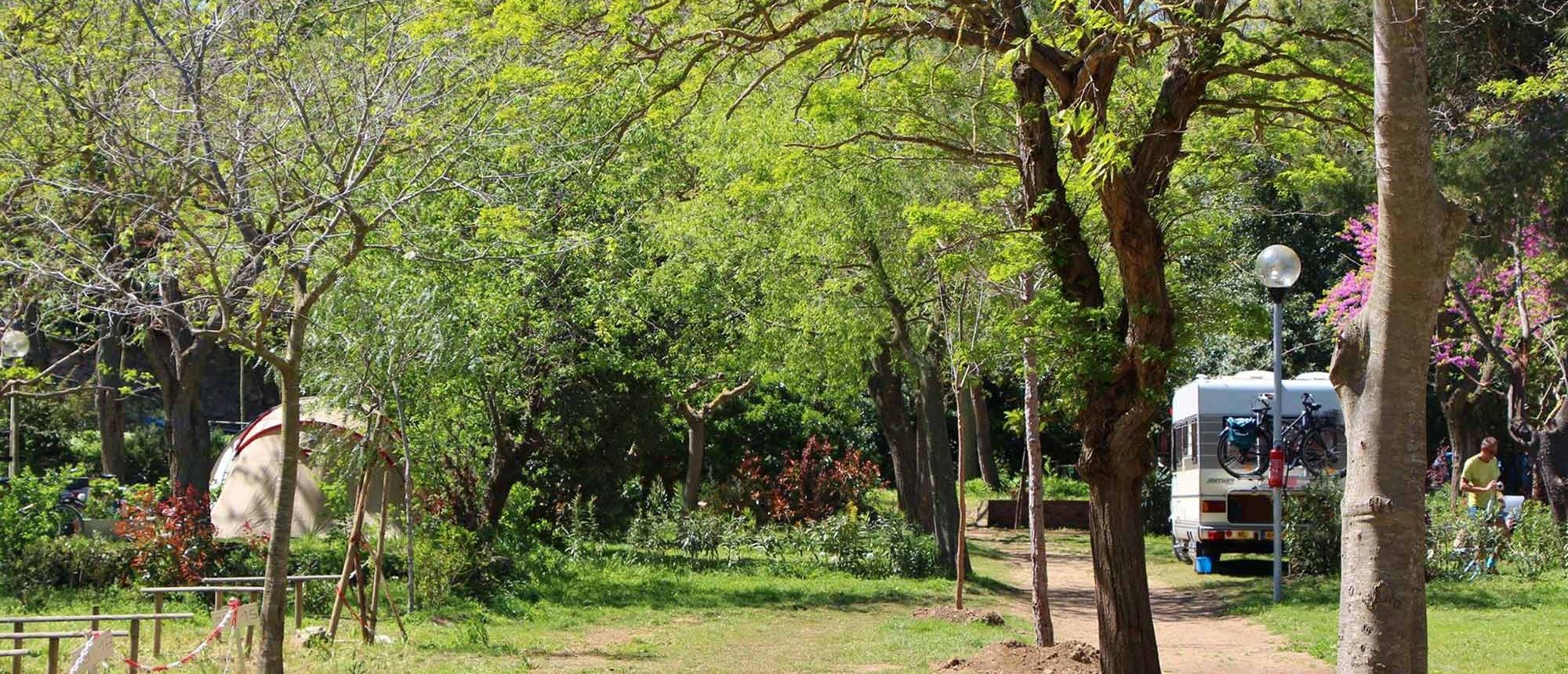 Emplacement Camping Les Amandiers