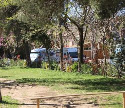emplacement Camping Les Amandiers