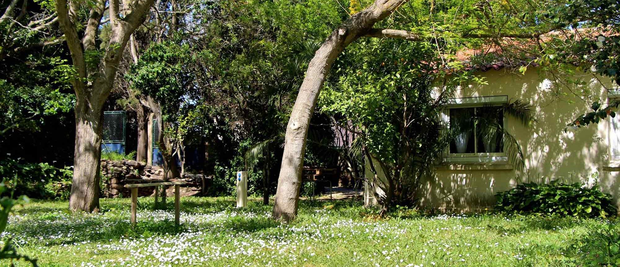 Emplacement Camping Les Amandiers