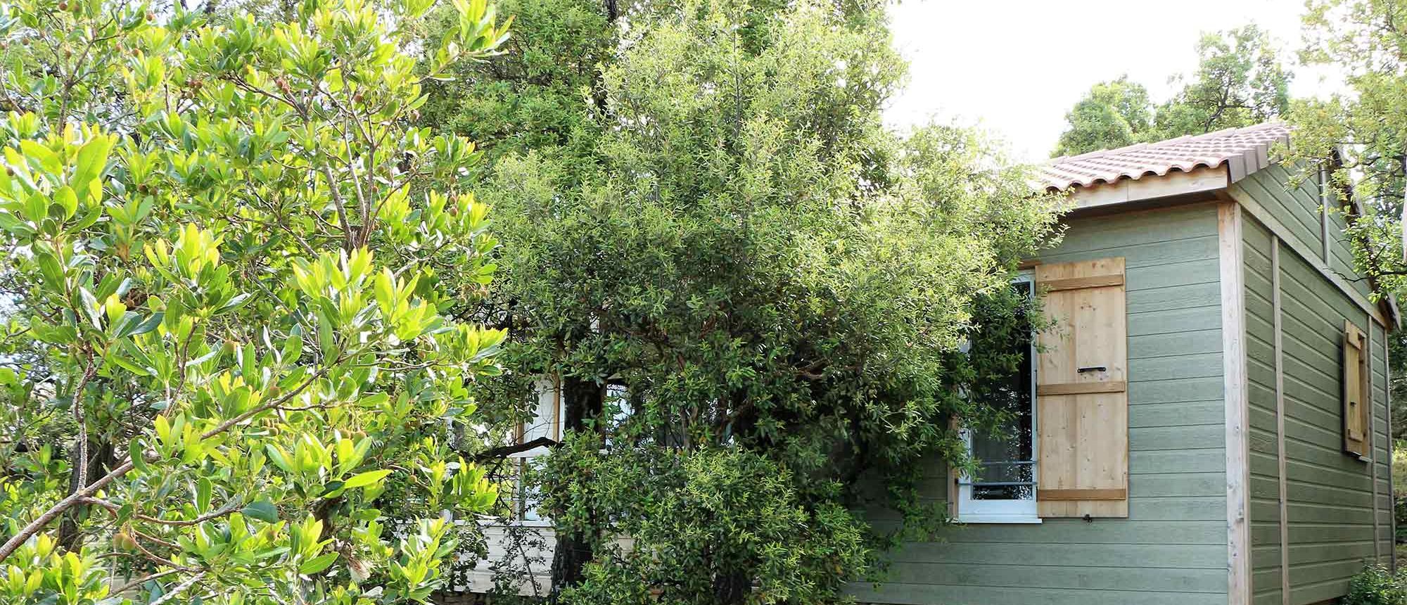 Hebergement Chalet Camping Les Amandiers