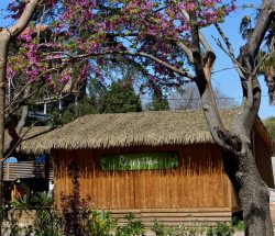 reception Camping Les Amandiers