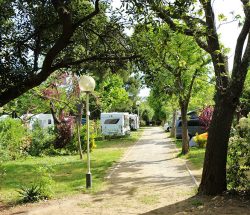 emplacement Camping Les Amandiers