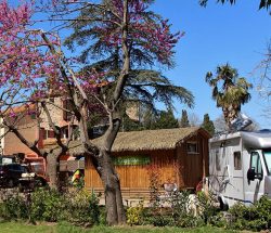 reception Camping Les Amandiers