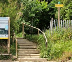 Promenade nature Camping Les Amandiers