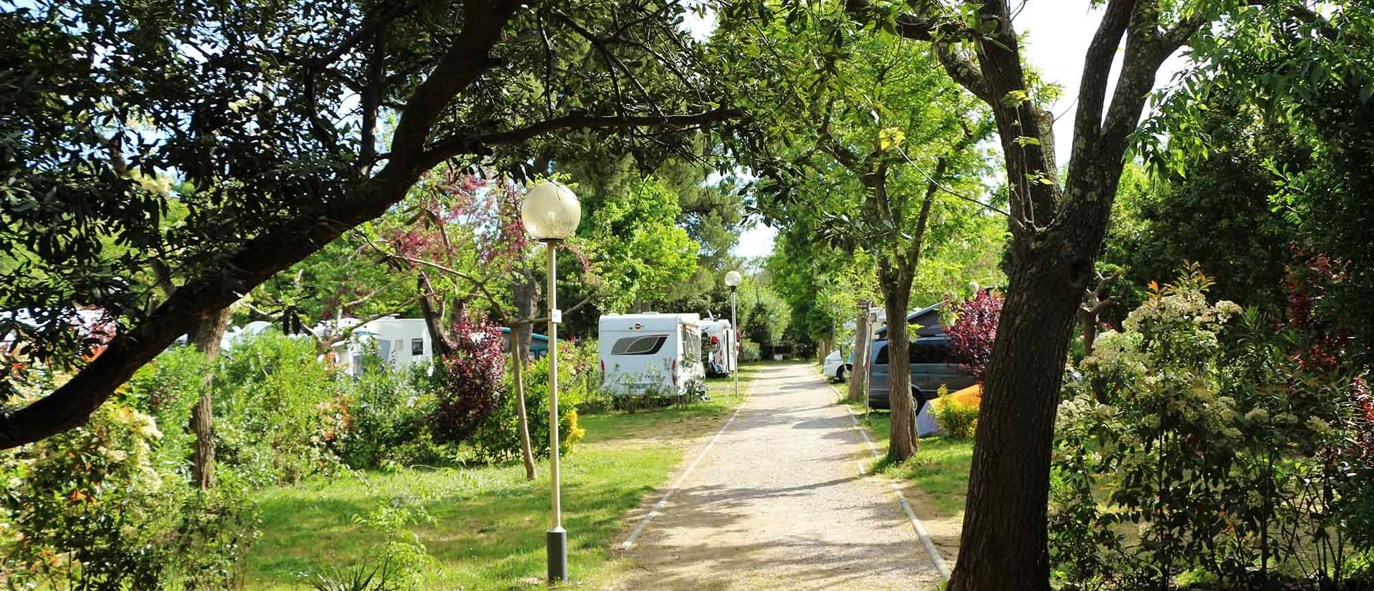 Emplacement Camping Les Amandiers