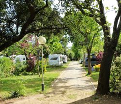Emplacement Camping Les Amandiers
