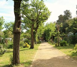 emplacement Camping Les Amandiers