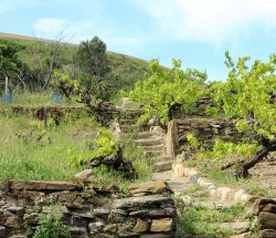 promenade alentours Camping Les Amandiers