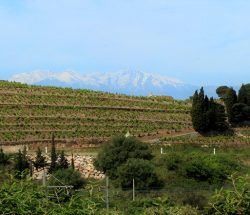 paysage montagne Camping Les Amandiers