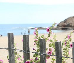plage Camping Les Amandiers