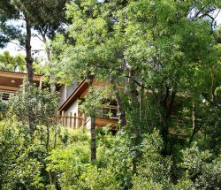 hebergement chalet Camping Les Amandiers