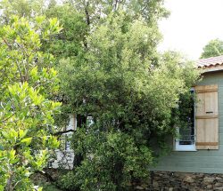 hebergement chalet Camping Les Amandiers