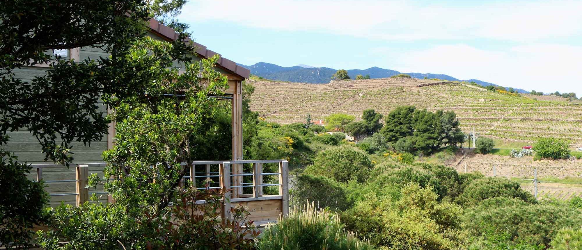 Hebergement Chalet Camping Les Amandiers