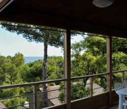 Hebergement Chalet Camping Les Amandiers
