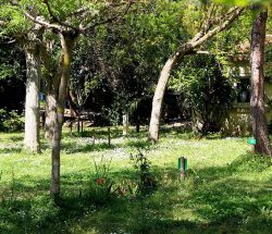 emplacement Camping Les Amandiers