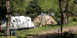 Emplacement Camping Les Amandiers