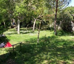 emplacement Camping Les Amandiers