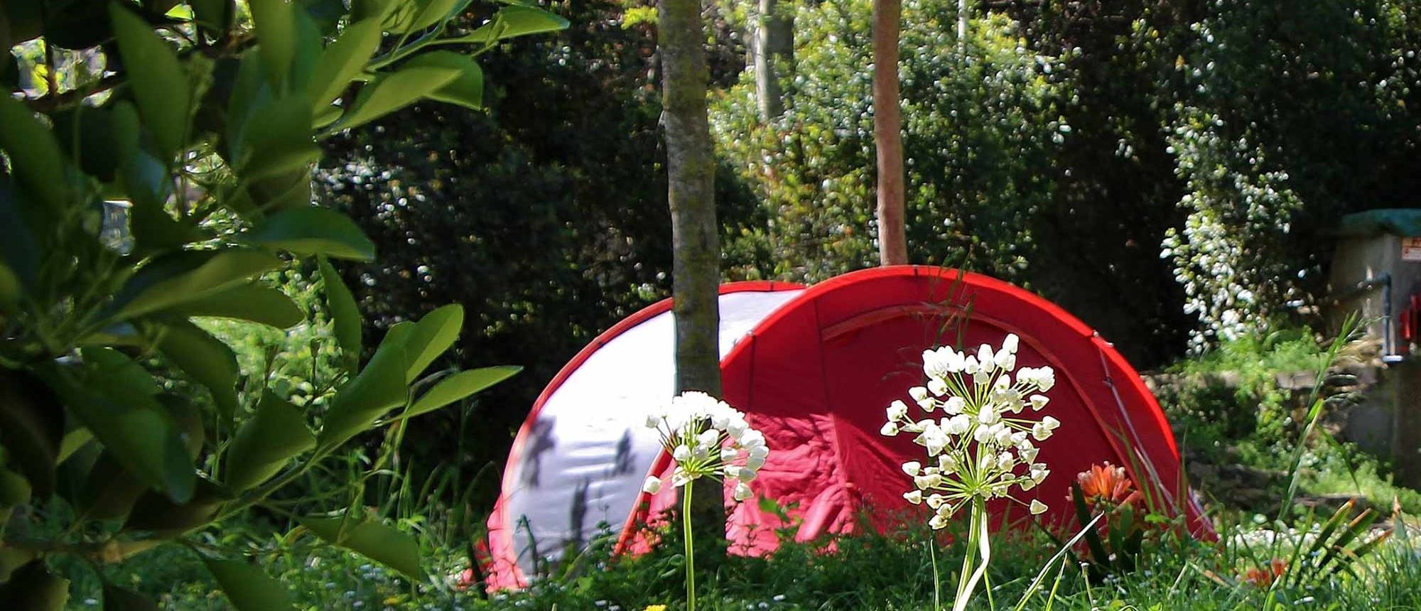 Emplacement Camping Les Amandiers
