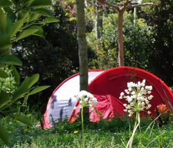Emplacement Camping Les Amandiers