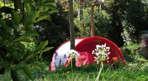 Emplacement Camping Les Amandiers