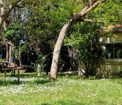 Emplacement Camping Les Amandiers