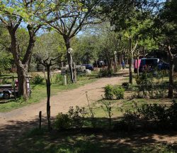 emplacement Camping Les Amandiers