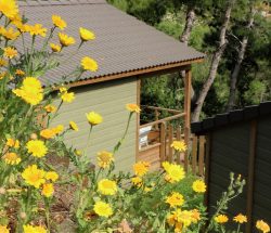 hebergement chalet Camping Les Amandiers