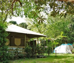 hebergement Lodge Camping Les Amandiers