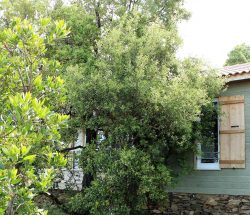 Hebergement Chalet Camping Les Amandiers
