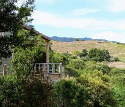 hebergement chalet Camping Les Amandiers