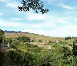paysage Camping Les Amandiers