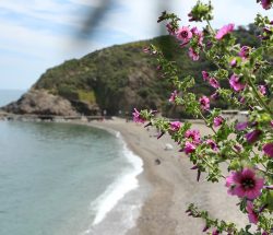 paysage plage Camping Les Amandiers