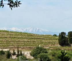 paysage montagnes Camping Les Amandiers