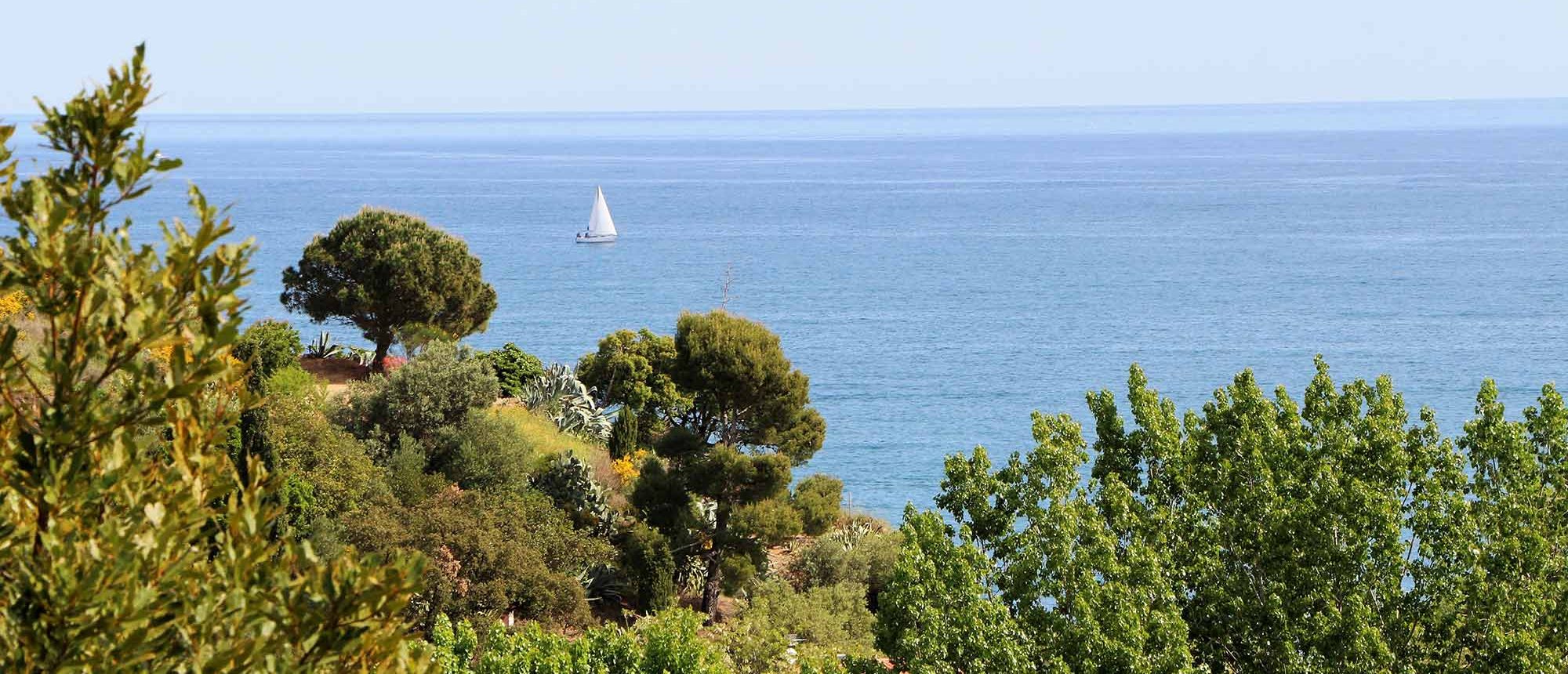 Paysage Camping Les Amandiers