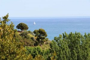 Paysage Camping Les Amandiers