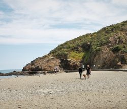 promenade plage Camping Les Amandiers