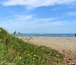 plage Camping Les Amandiers