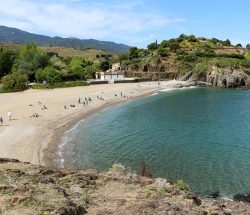 Plage Camping Les Amandiers