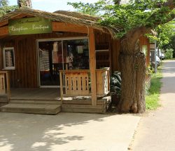 reception Camping Les Amandiers