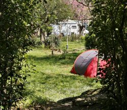 emplacement tente Camping Les Amandiers
