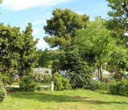 emplacement Camping Les Amandiers