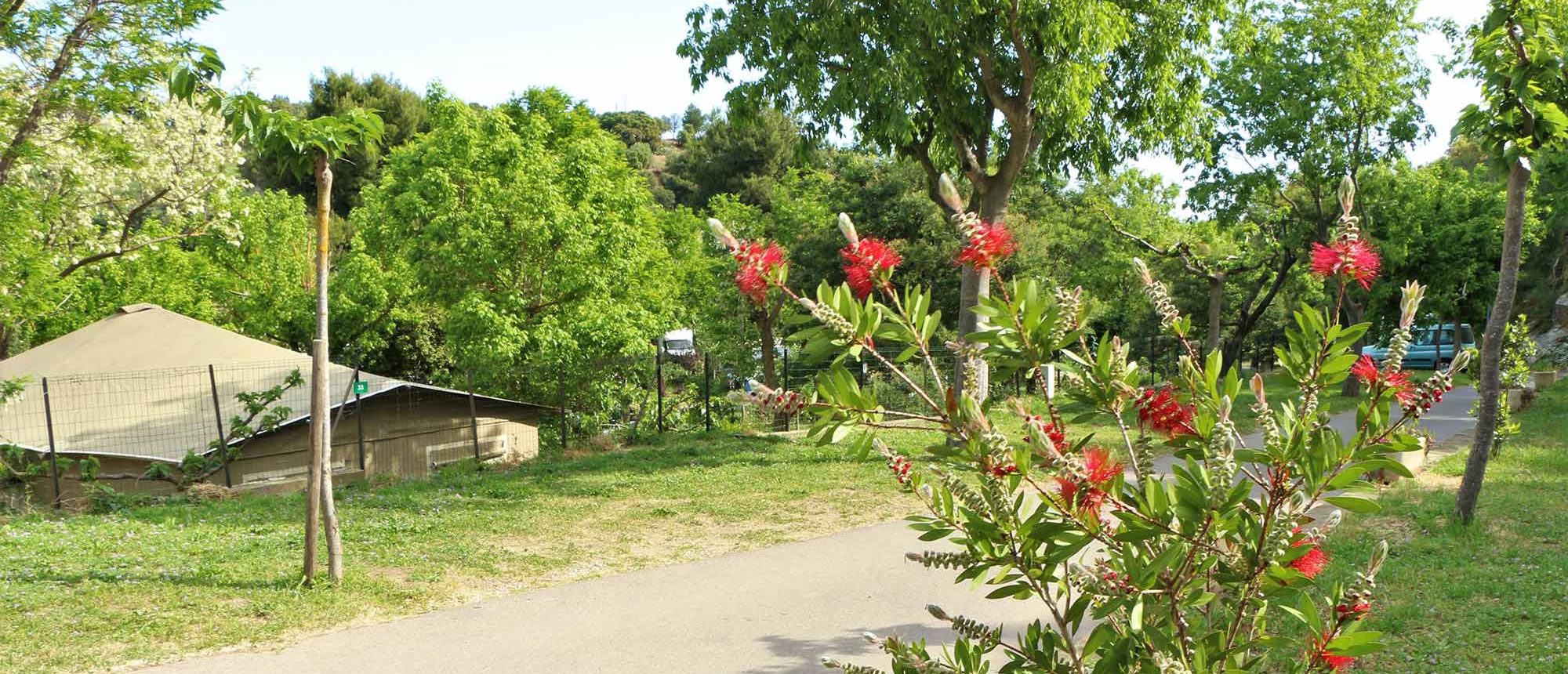Vegetation Camping Les Amandiers