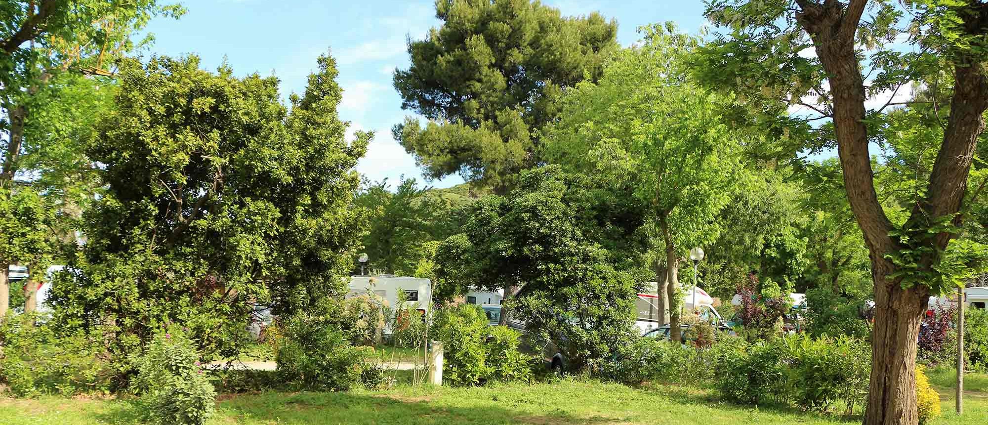 Vegetation Camping Les Amandiers