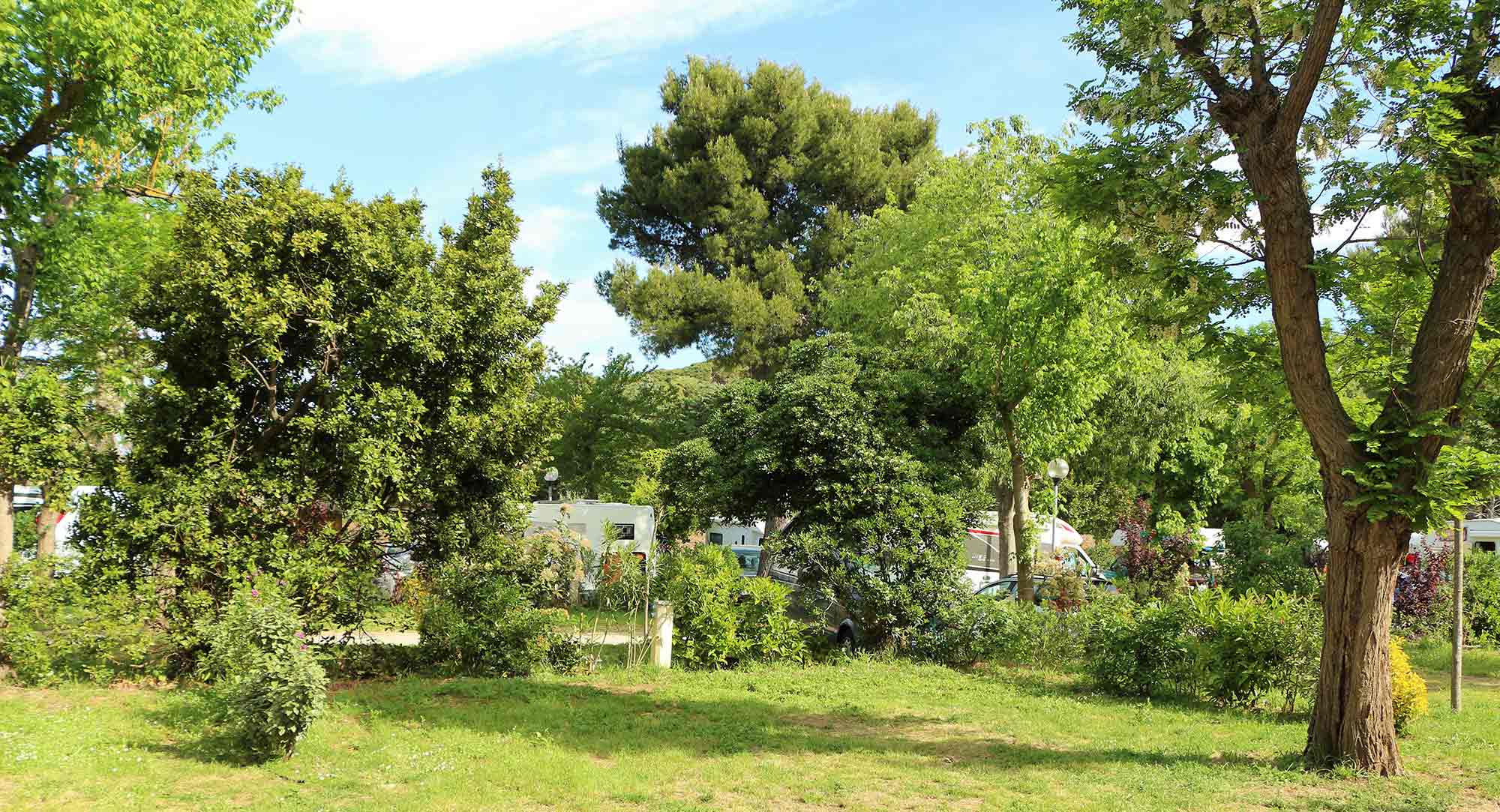 Vegetation Camping Les Amandiers
